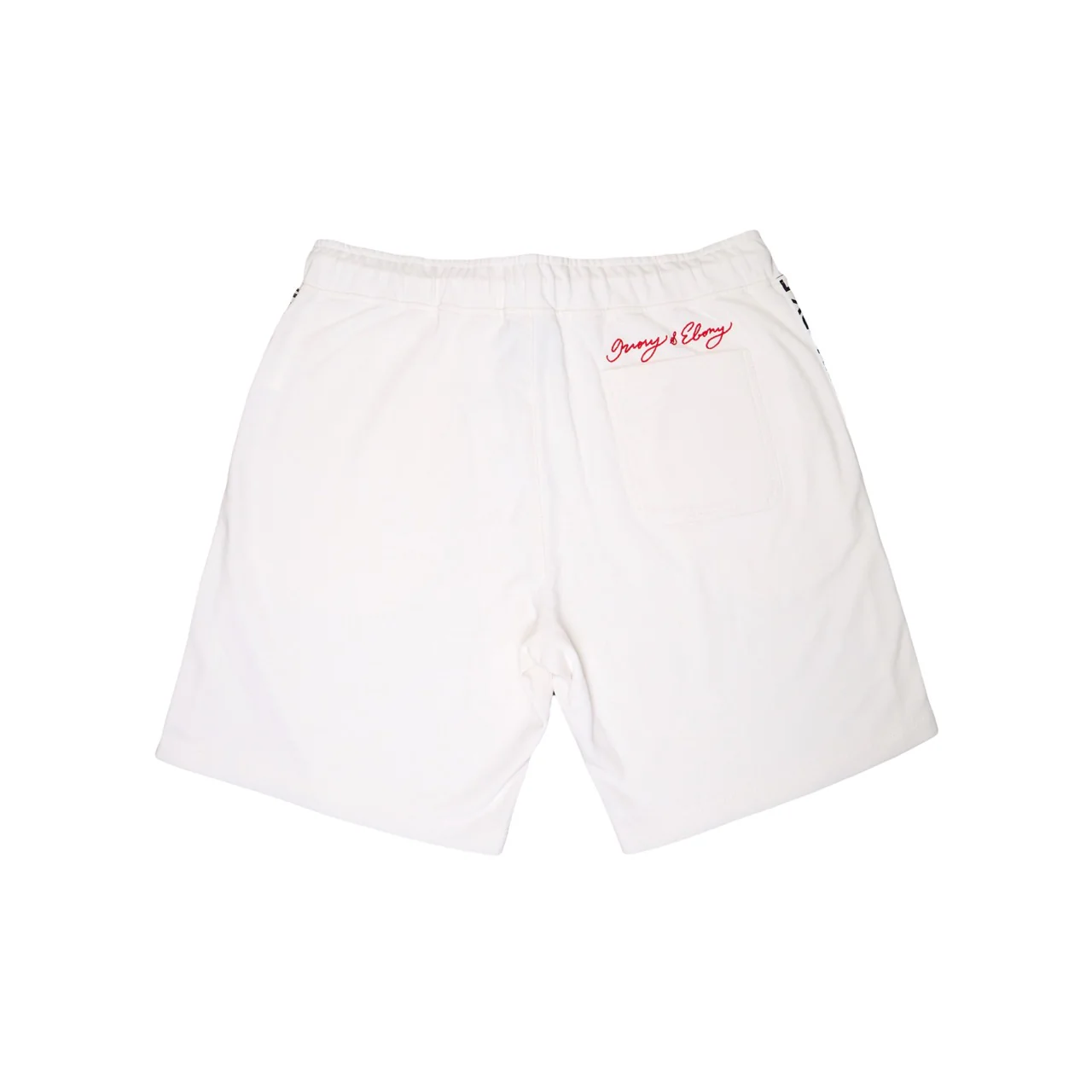 Stripe Logo Hydrophobic Shorts - Image 4