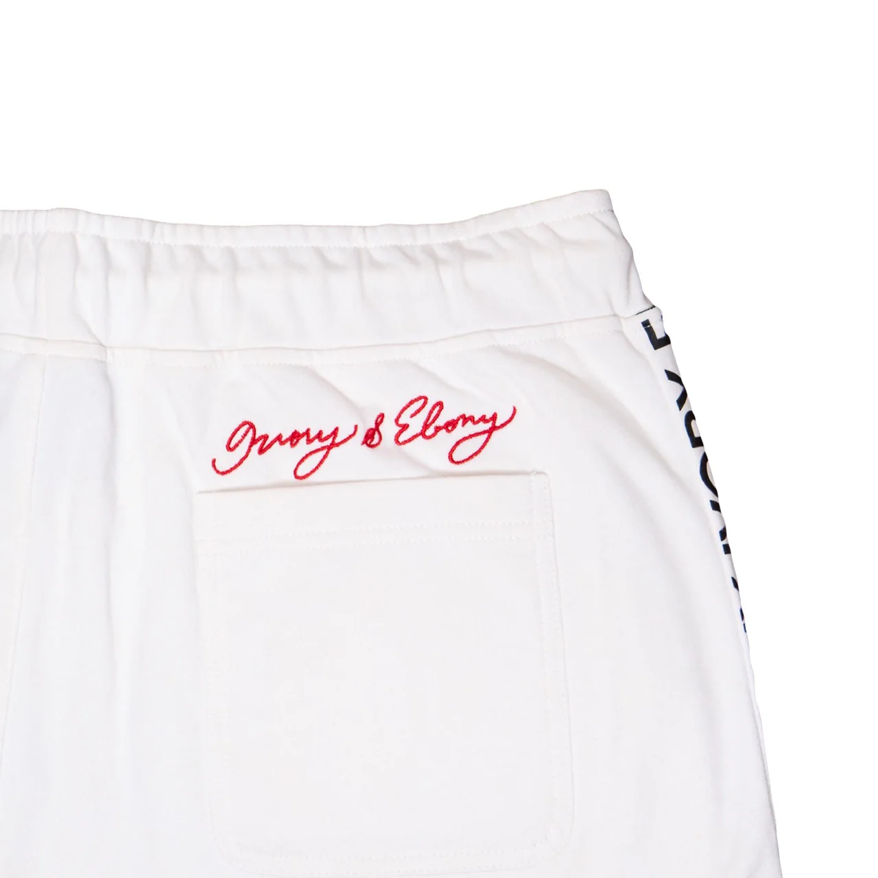 Stripe Logo Hydrophobic Shorts - Image 5